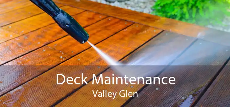 Deck Maintenance Valley Glen